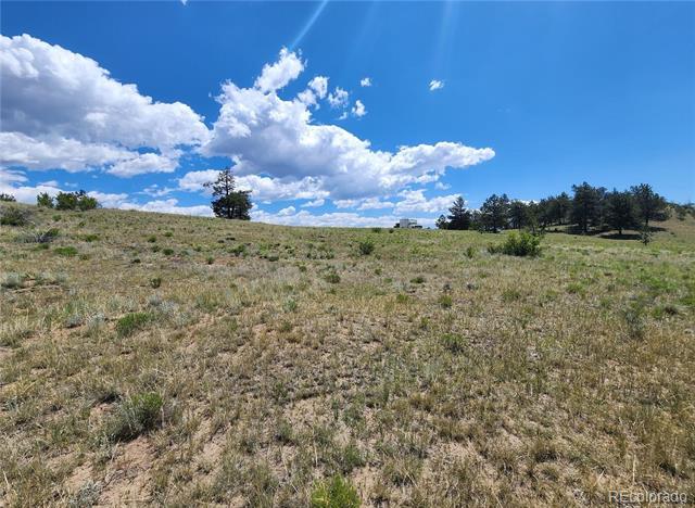 Lot 11 Willow Street