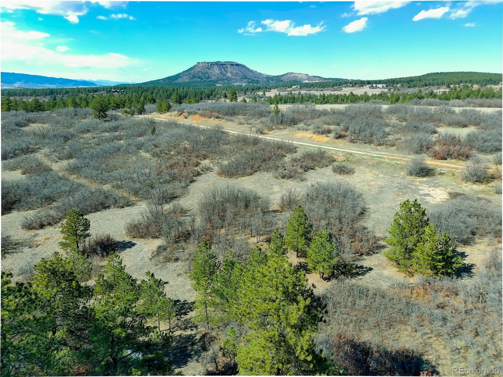 6319 Balsamroot Road