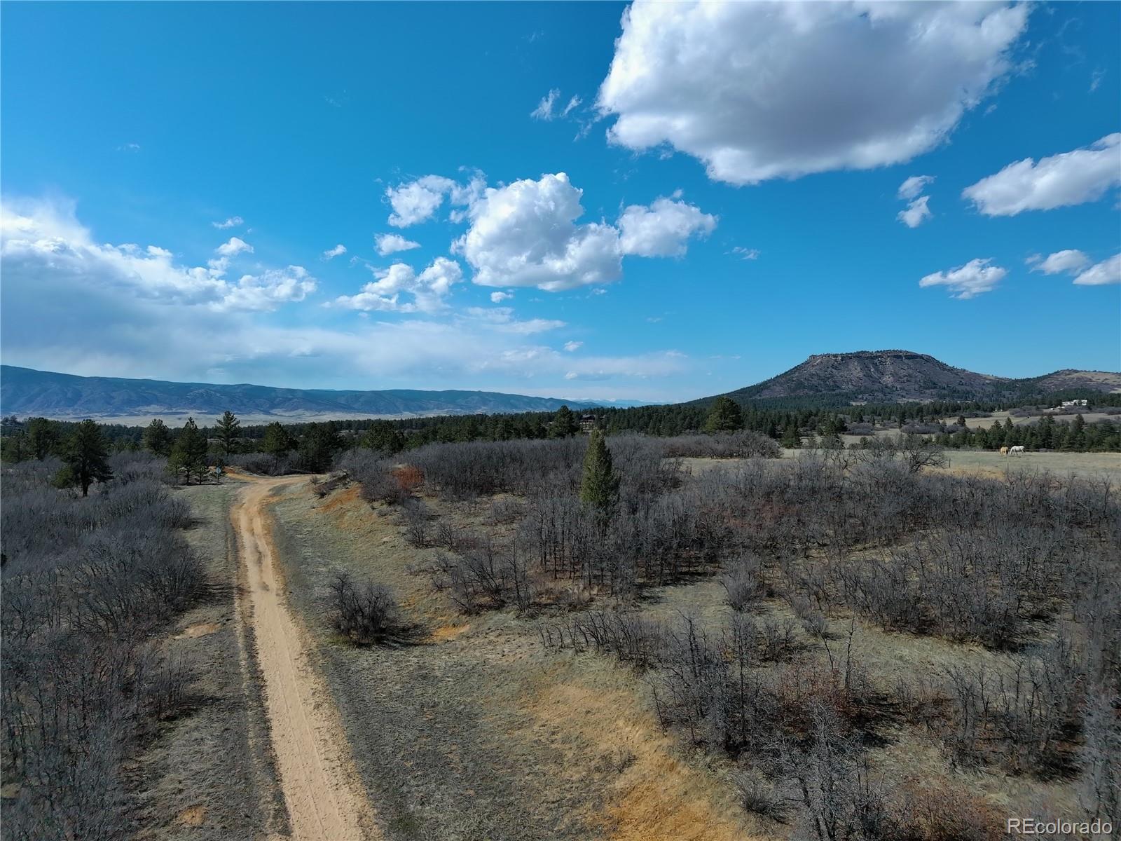 6319 Balsamroot Road