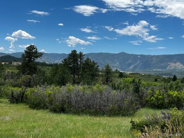 6319 Balsamroot Road