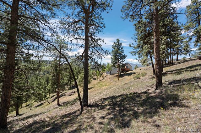1729 Crow Valley Road