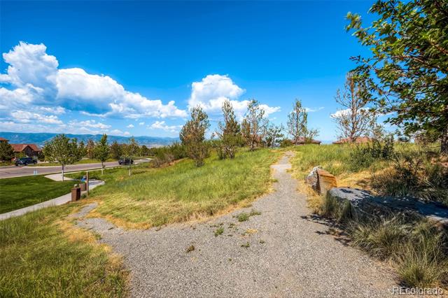 10646 Winding Pine Point