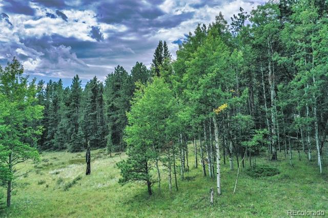 8549 Cedar Mountain Road
