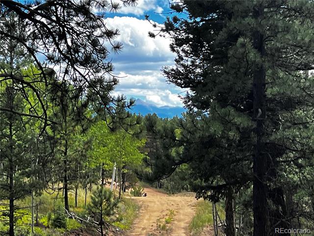 8549 Cedar Mountain Road