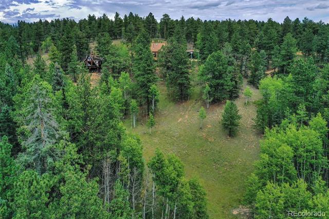 8549 Cedar Mountain Road