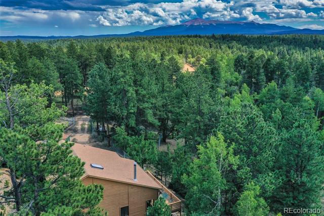8549 Cedar Mountain Road