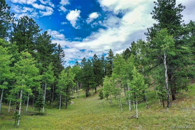 8549 Cedar Mountain Road