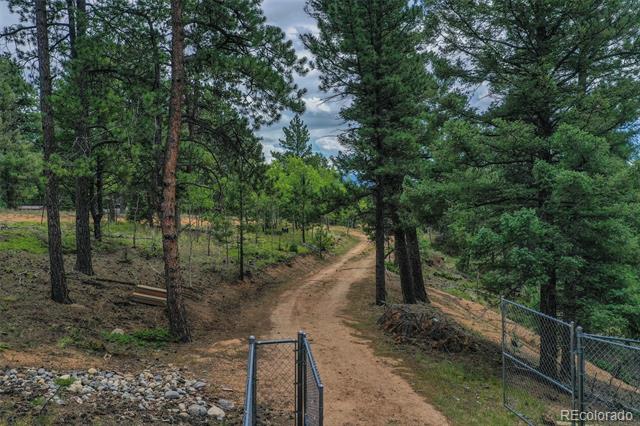 8549 Cedar Mountain Road