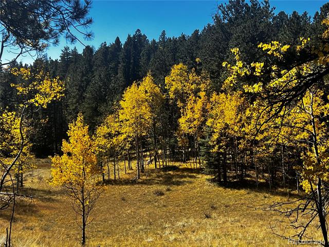 8549 Cedar Mountain Road