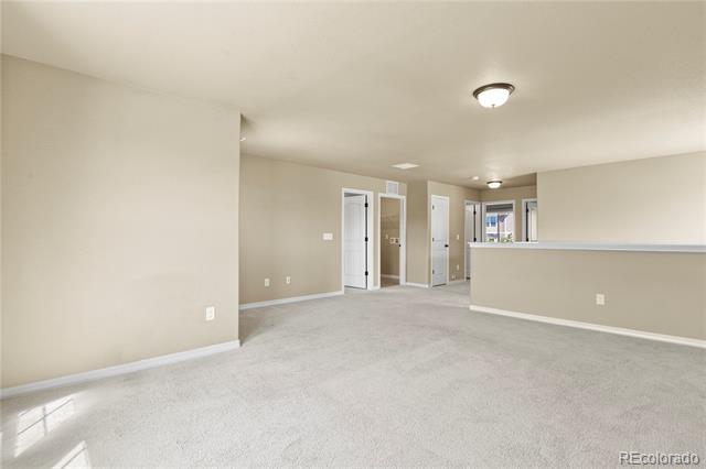 10747 Hidden Prairie Parkway