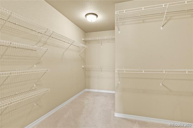 10747 Hidden Prairie Parkway