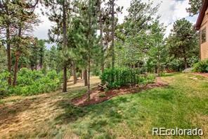 7423 Cameron Drive