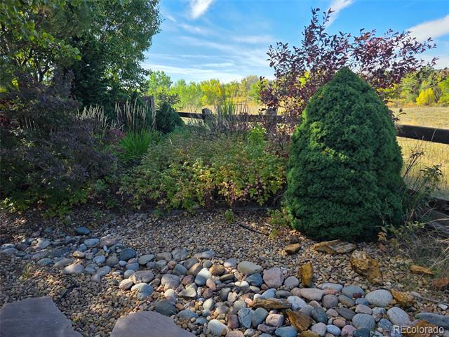 6407 Frank Gardner Way