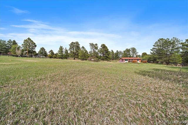 3337 Ponderosa Road