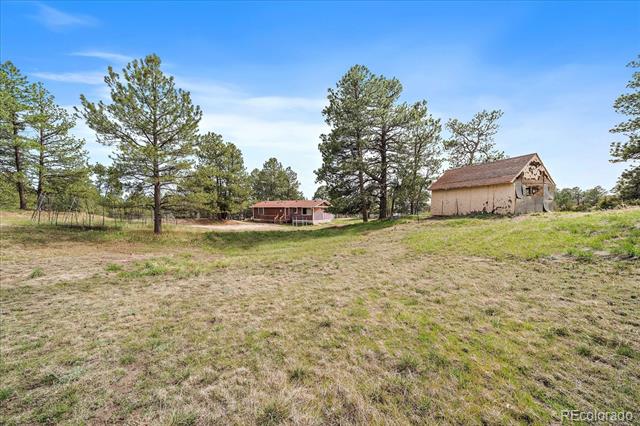 3337 Ponderosa Road