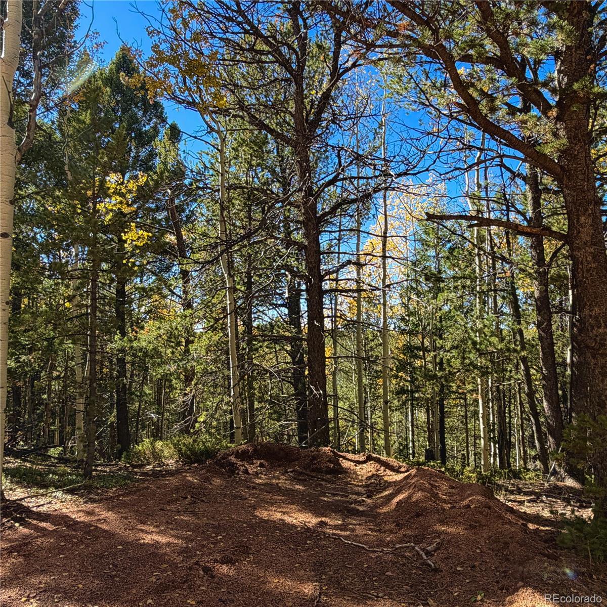 773 Timber Ridge Road