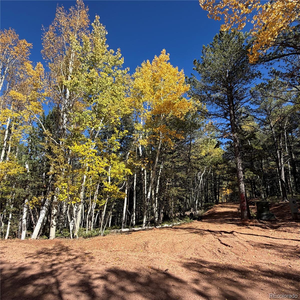 773 Timber Ridge Road
