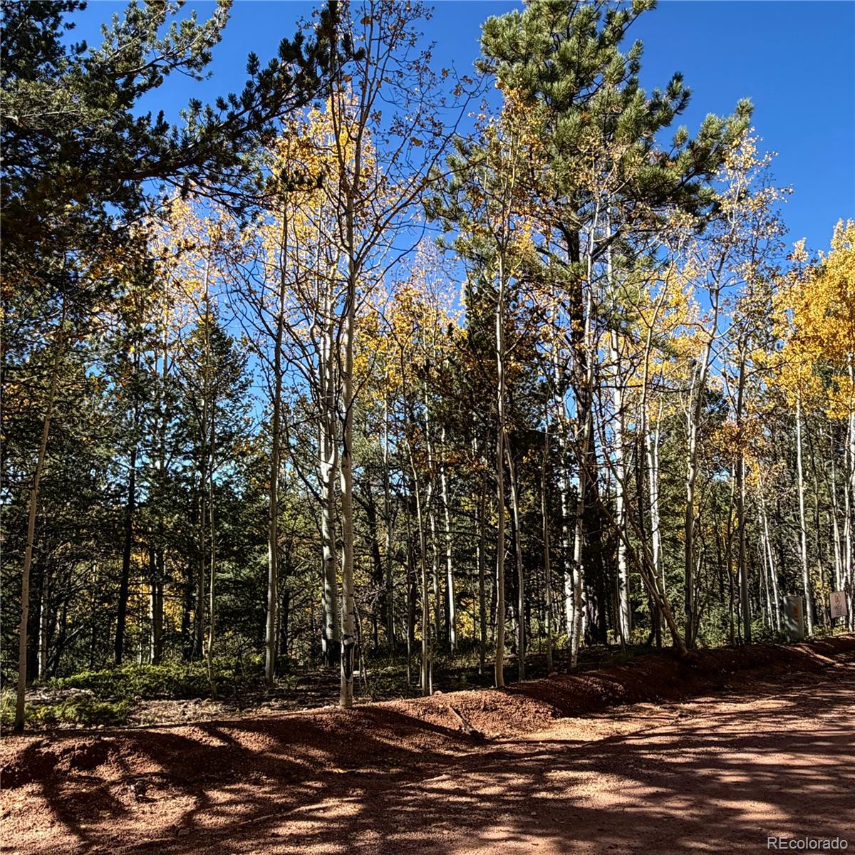 773 Timber Ridge Road