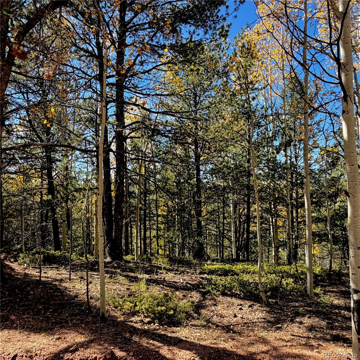 773 Timber Ridge Road