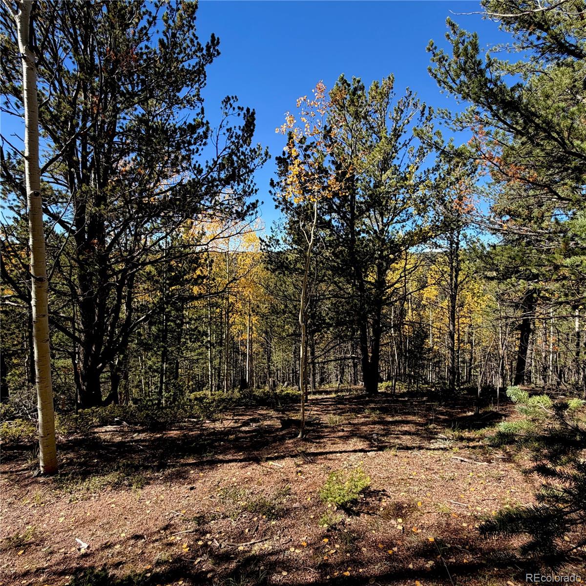 773 Timber Ridge Road