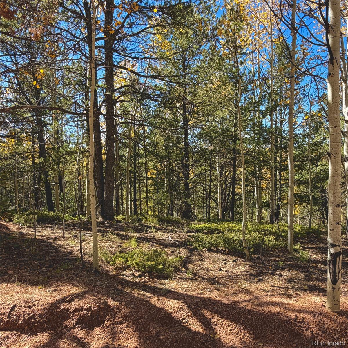 773 Timber Ridge Road