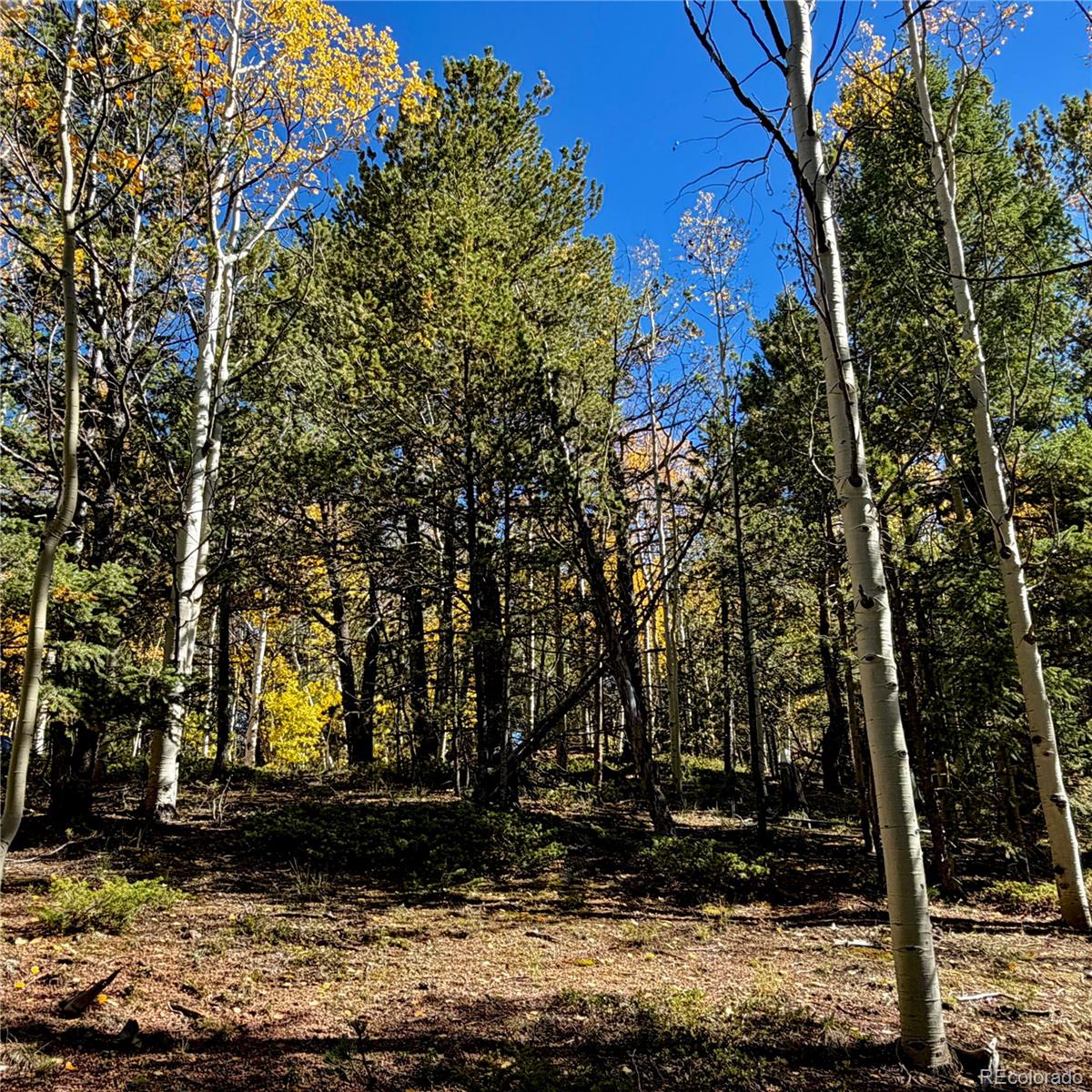 773 Timber Ridge Road