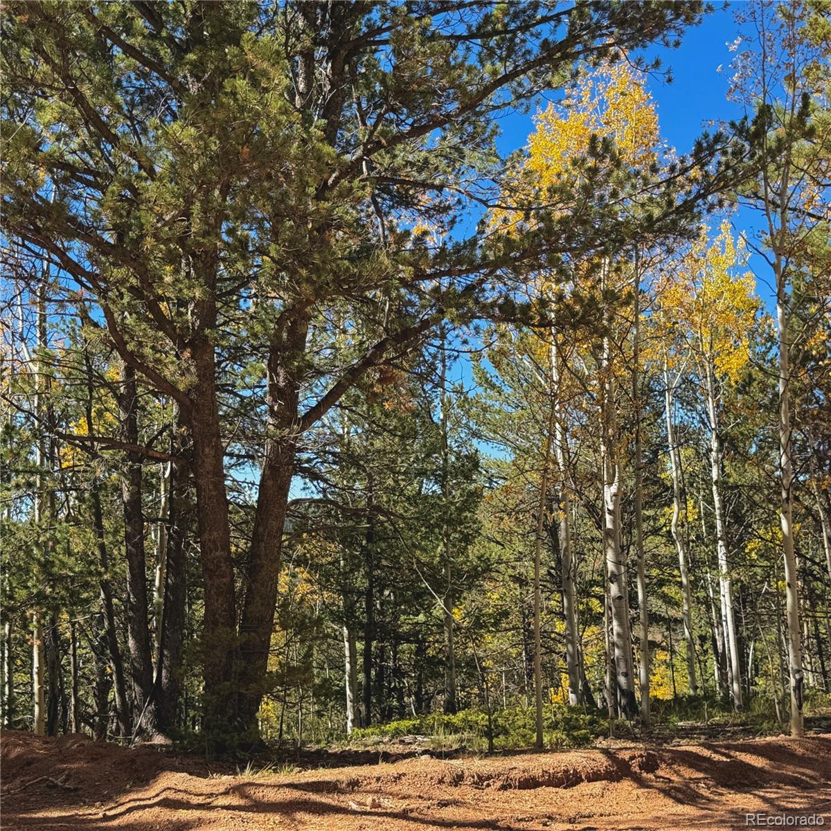 773 Timber Ridge Road