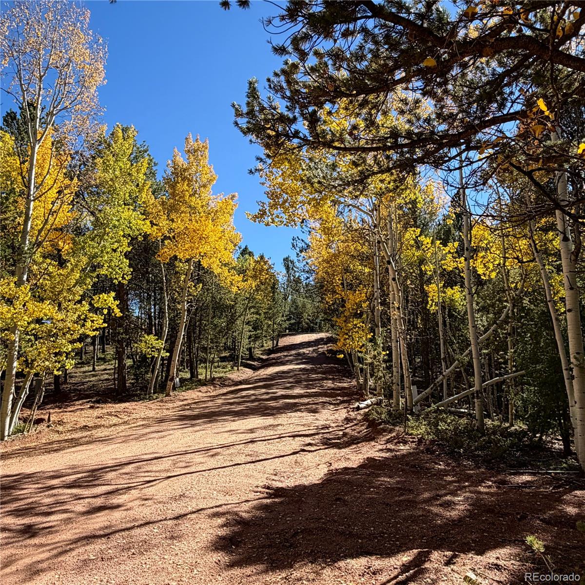 773 Timber Ridge Road
