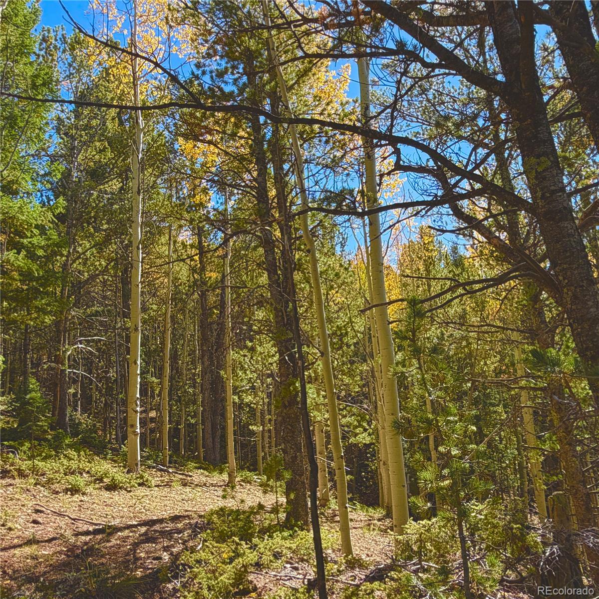 773 Timber Ridge Road