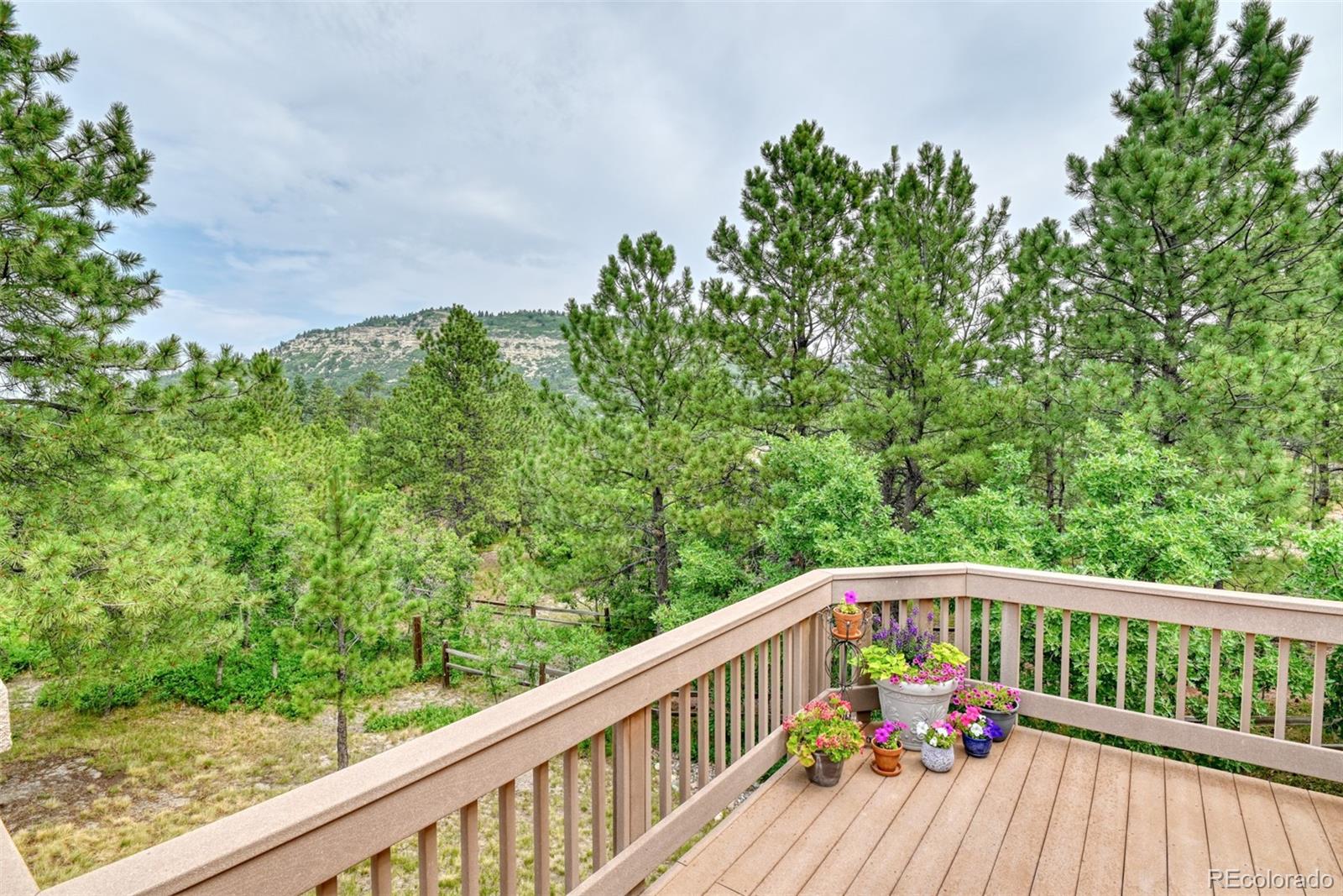 20448 Bald Mountain Court