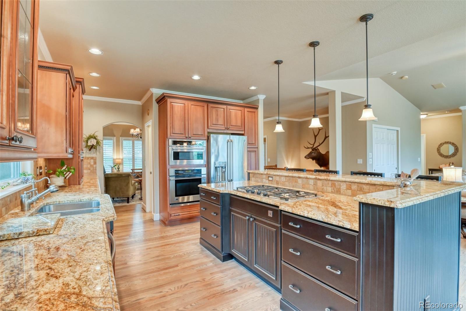 20448 Bald Mountain Court
