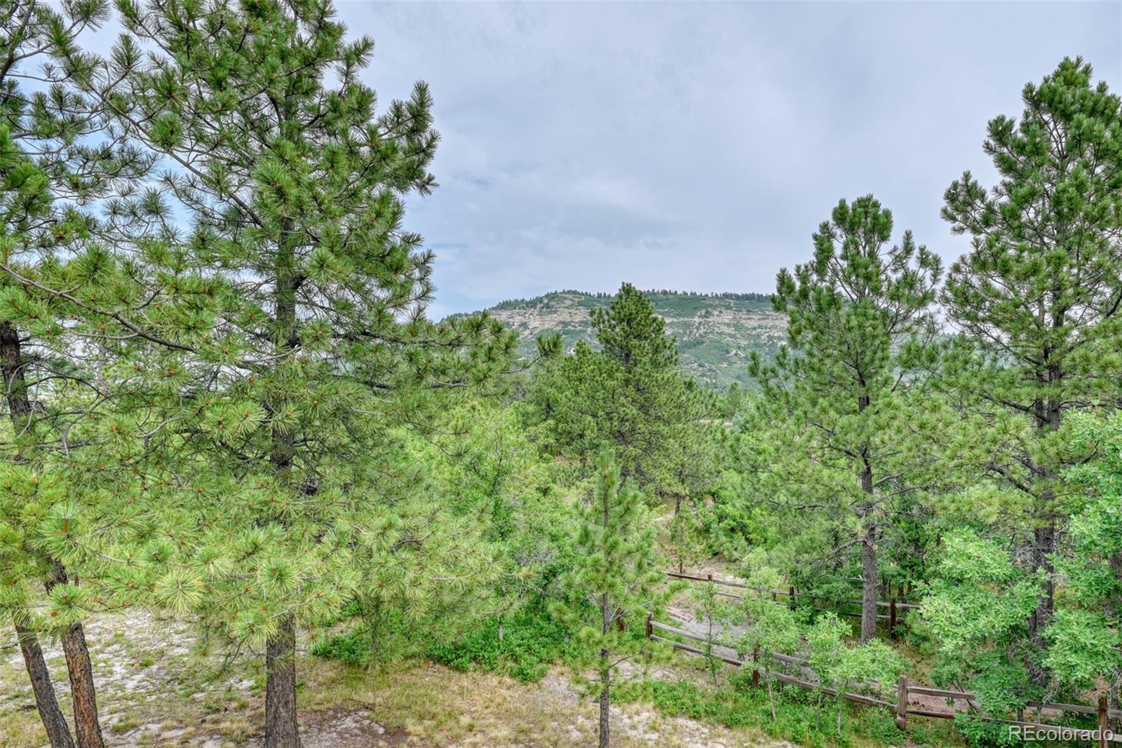 20448 Bald Mountain Court