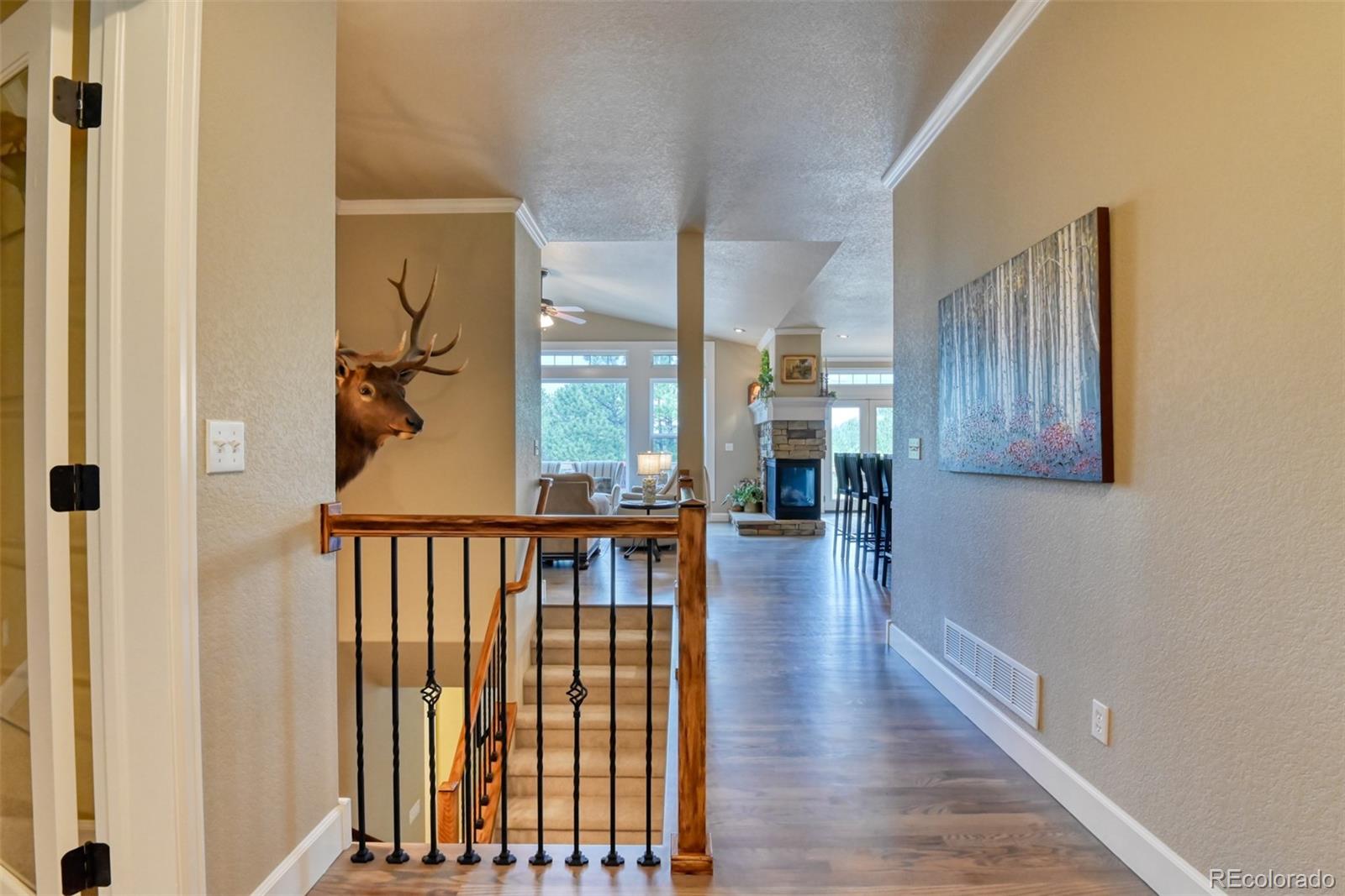 20448 Bald Mountain Court