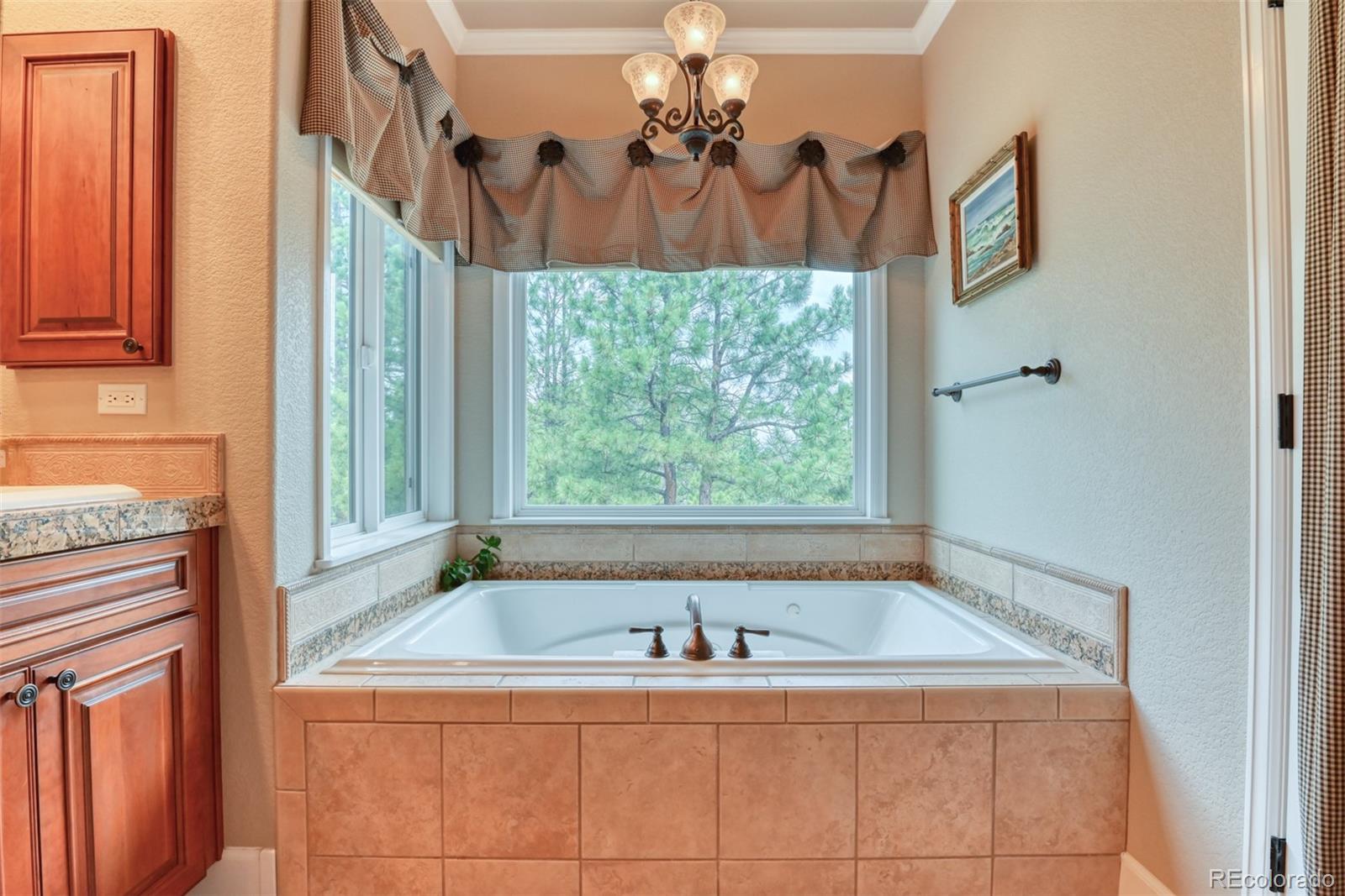 20448 Bald Mountain Court