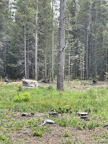 Silver Creek Road