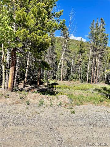 Silver Creek Road