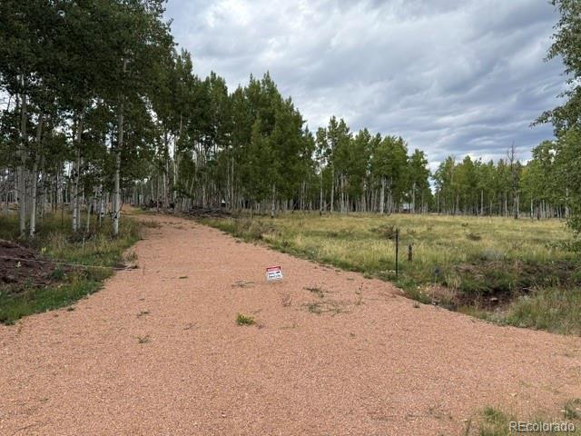 455 Aspen Way Drive