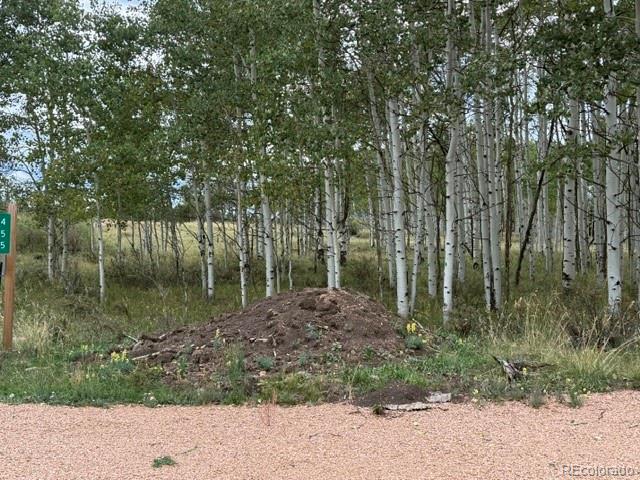 455 Aspen Way Drive