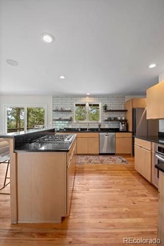 29663 Paint Brush Drive