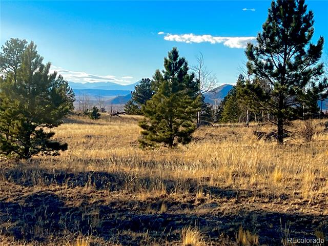 215 Topaz Road
