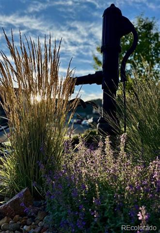 554 Sage Grouse Circle