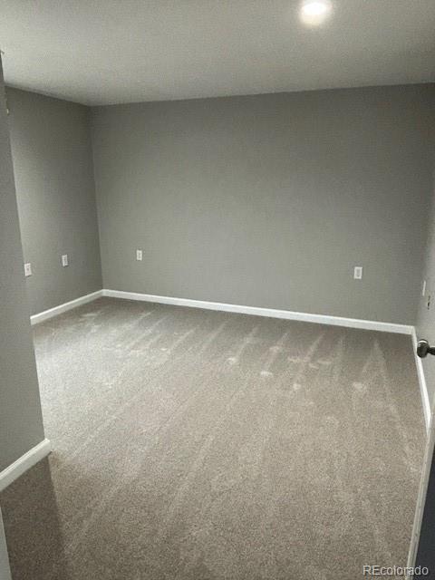 7871 Wolff Court