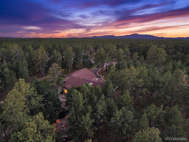 15545 Pole Pine Point