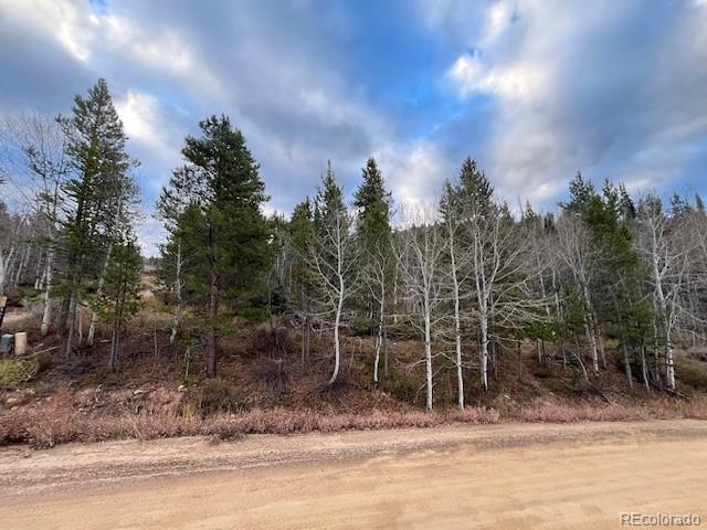 574 Overlook Drive