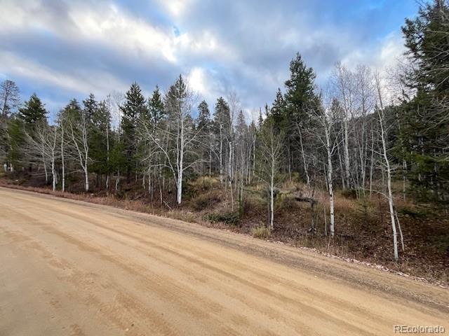 574 Overlook Drive