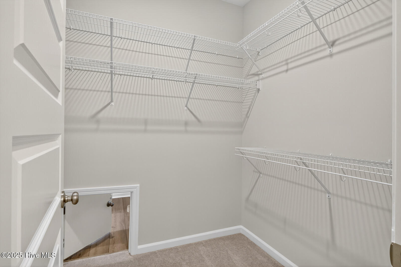 2233 Star Shower Way
