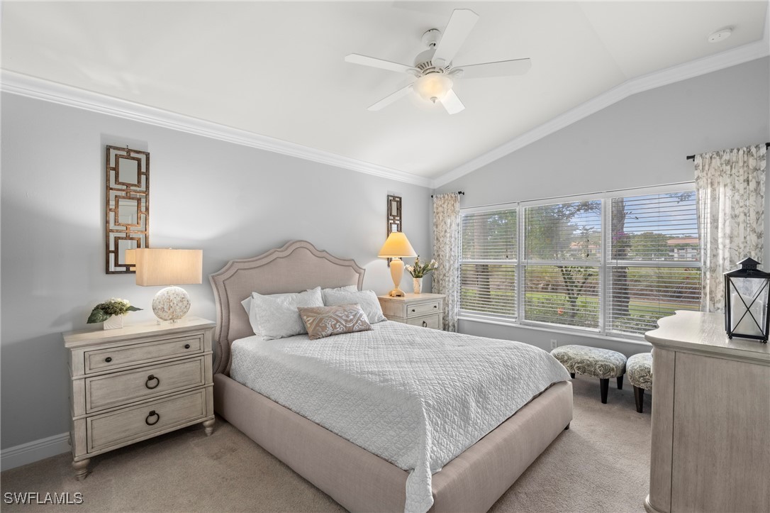 5767 Declaration CT