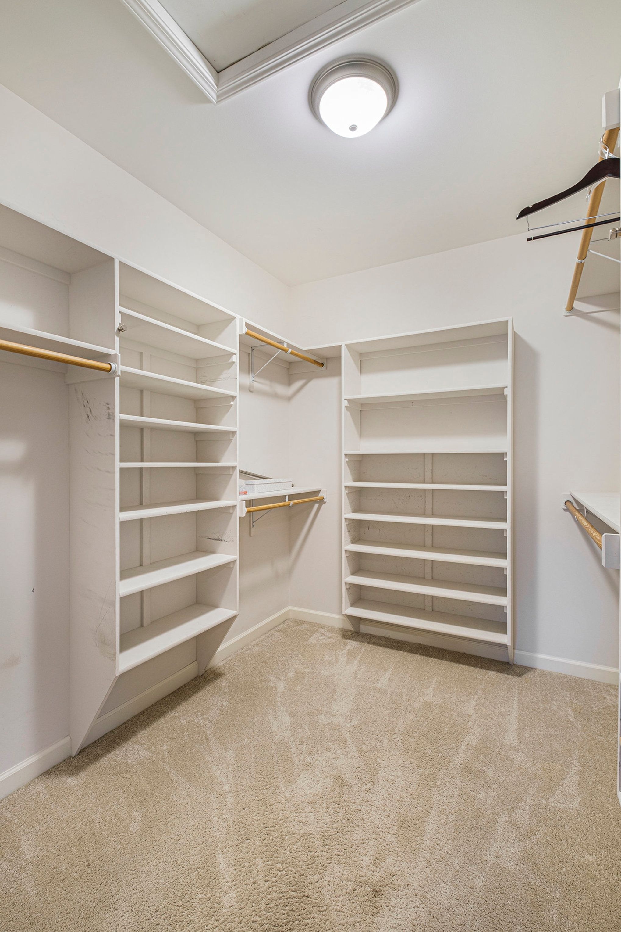 13217 Pintail Court
