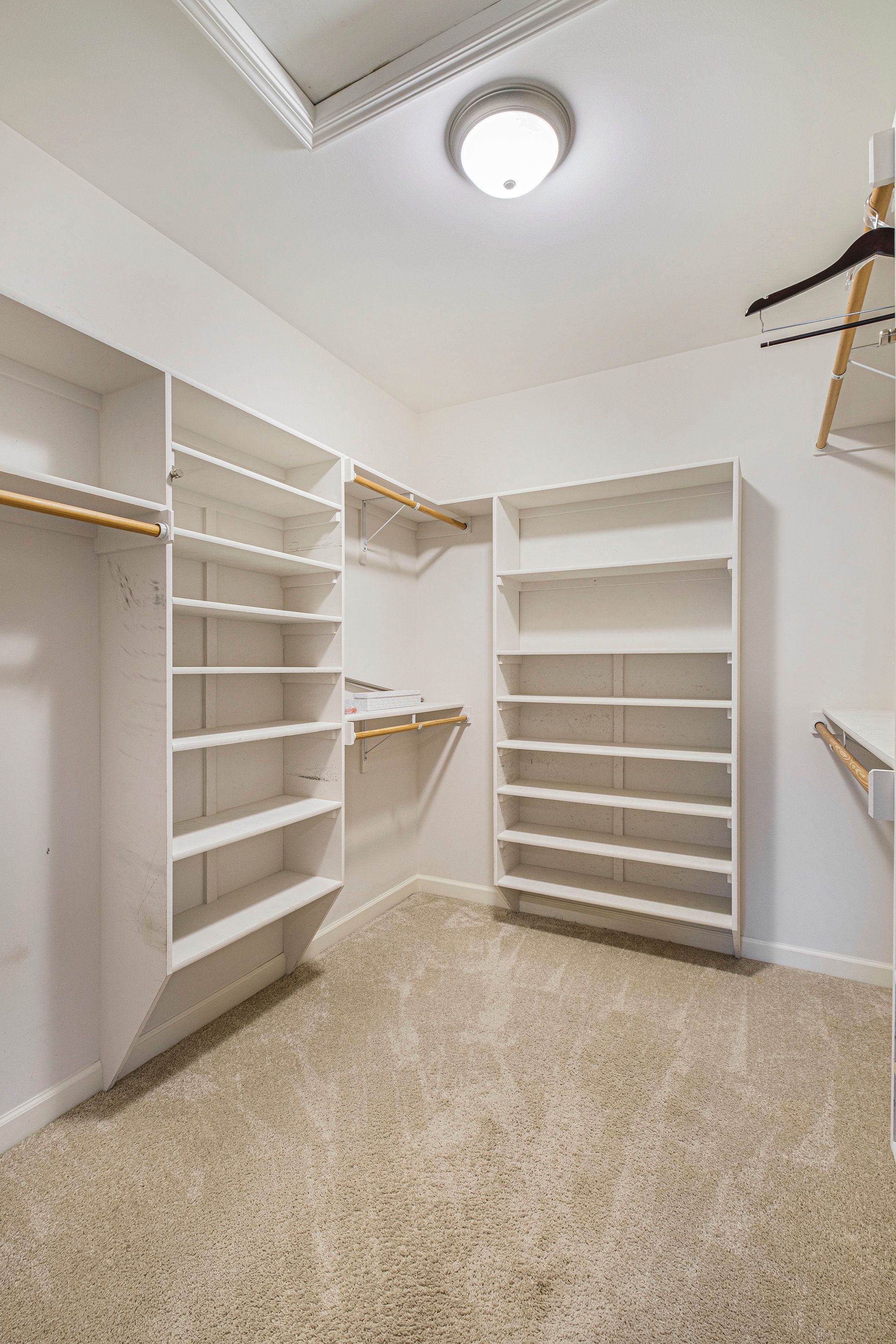 13217 Pintail Court