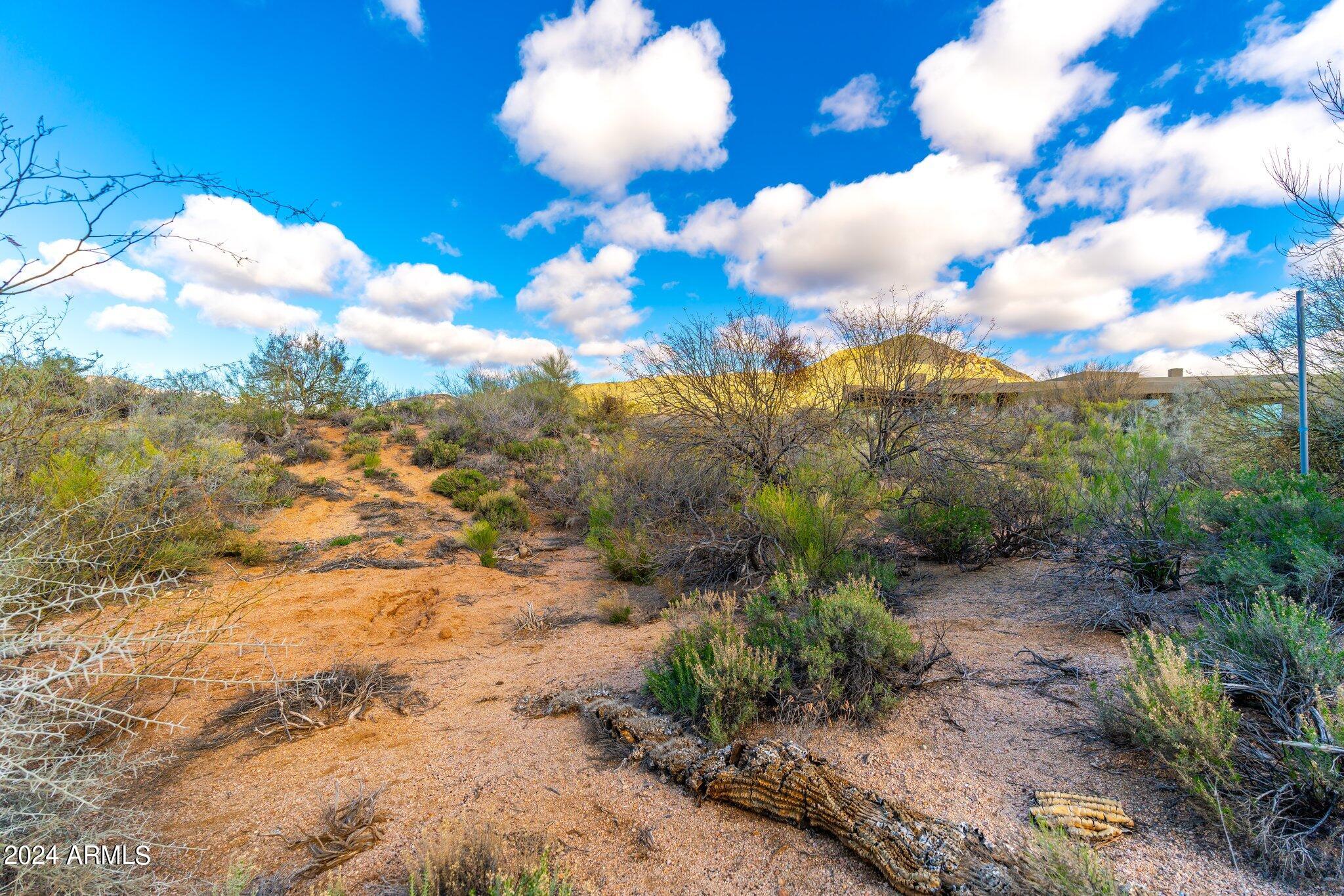 41504 N 109TH Place, 28